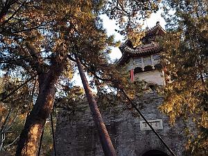 PEKIN - PALAIS D ETE (9)